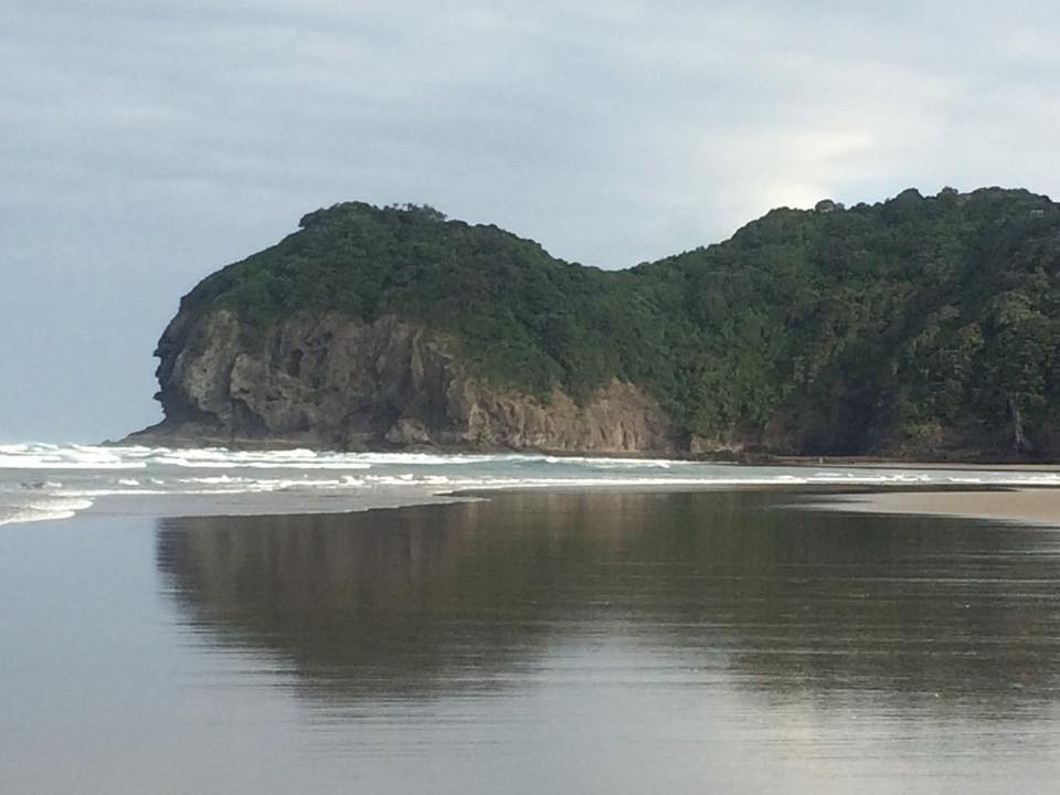 Piha Beach Laurent Law