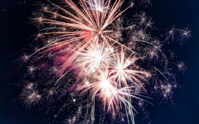 Success Stories of 2025 – Why professional help can change everything