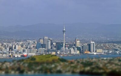 New Zealand Migration on the World Stage