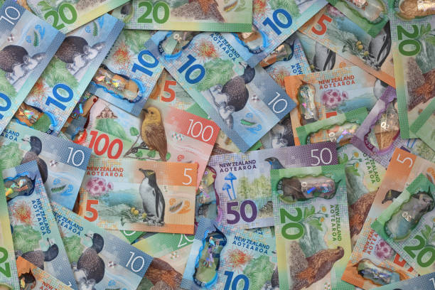 Buyer Beware – More to Learn About NZ Investor Visas
