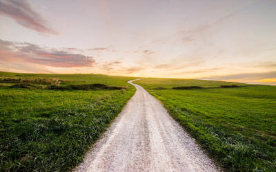 New Skilled Migrant Pathways: What You Need to Know