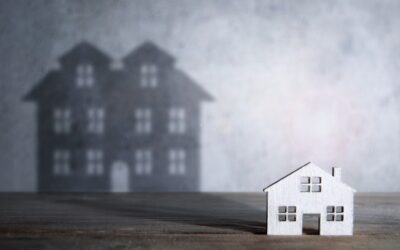 Making a commitment to New Zealand